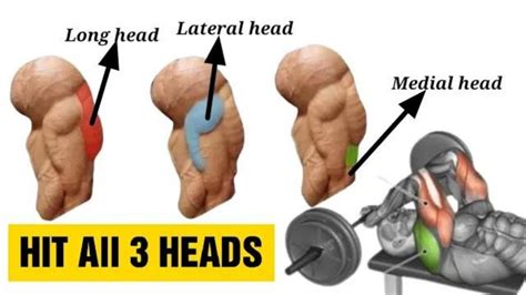 9 Best Triceps Workout for Every Head (Hit all 3 heads) | Fitkill - YouTube