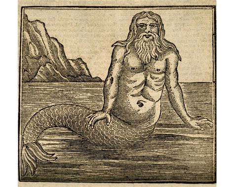 Antique Merman Art Print, Mermaids Art, Merpeople, Merfolk, Medieval ...