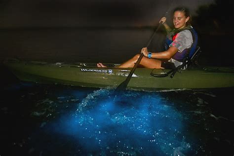 The best spot for bioluminescent kayaking in Florida - Florida Beyond