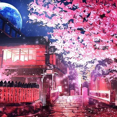 Cherry Tree Wallpaper Engine | Free Download