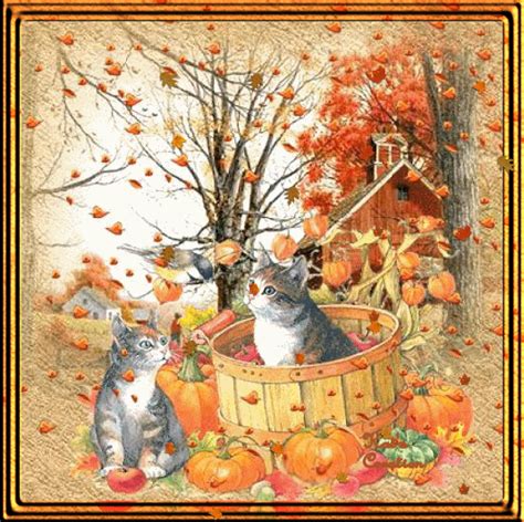 Kitties in the Fall