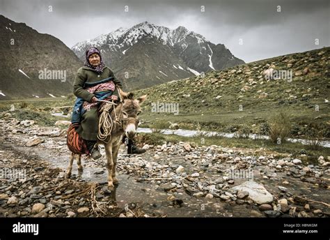 Woman riding donkey hi-res stock photography and images - Alamy