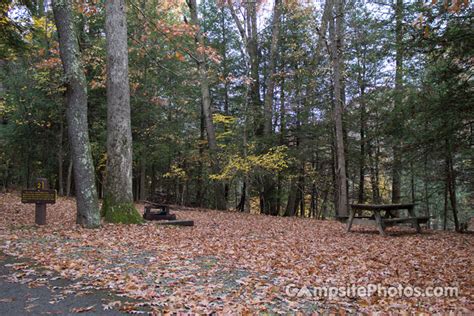 Babcock State Park - Campsite Photos, Reservations & Camping Info