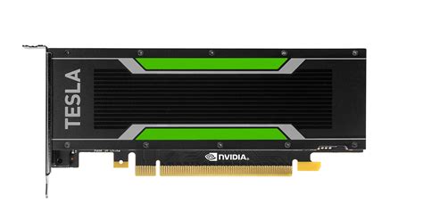 NVIDIA Announces Tesla P40 & Tesla P4 - Neural Network Inference, Big ...