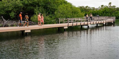 Curaçao Rif Mangrove Park – Curacao Activities