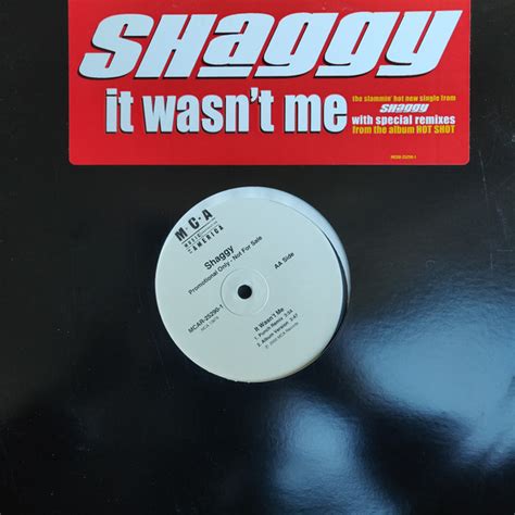 Shaggy - It Wasn't Me (2000, Vinyl) | Discogs