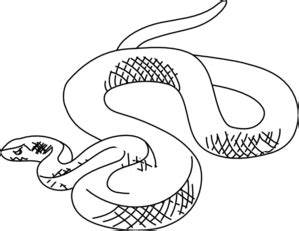 Snake Outline Clip Art at Clker.com - vector clip art online, royalty ...