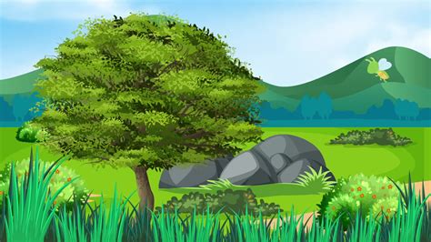 Animated Background Forest Stock Video Footage for Free Download