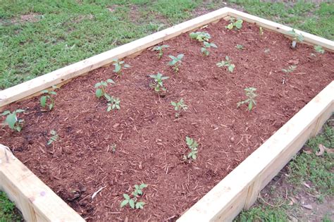 The Conservatory: Simple Soil Recipe for Raised Beds