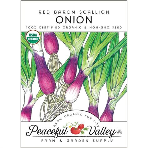 Organic & Non-GMO Onion Seeds from $3.99 - Grow Organic