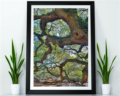 Angel Oak Tree Wall Art Canvas Metal Print Photo Print | Etsy