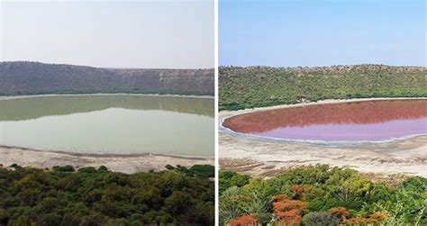 India's Lonar Lake Suddenly Turned Pink — And Nobody Knows Why