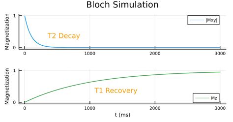 MRI Physics Simulation: Bloch Equations