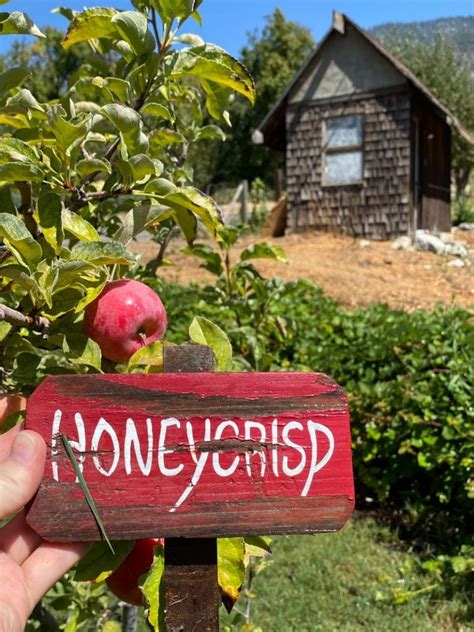 50+ Places for the Best Apple Picking Near Me - Days Out On The Farm