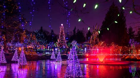 Festival of Lights illuminates VanDusen Botanical Garden this holiday ...