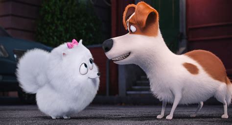 Image - Max and gidget.jpg | The Secret Life of Pets Wiki | FANDOM powered by Wikia