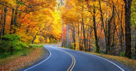 Best Fall Drives in the Smokies - Smoky Mountains, TN & NC