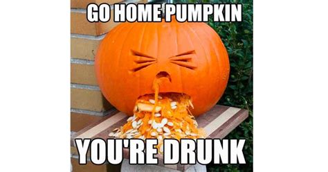 20+ Funny Pumpkin Memes, Puns & Jokes For Sharing