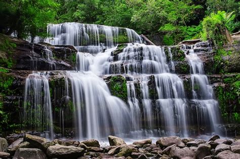 Premium Photo | Liffey falls state reserve at the midlands region of ...