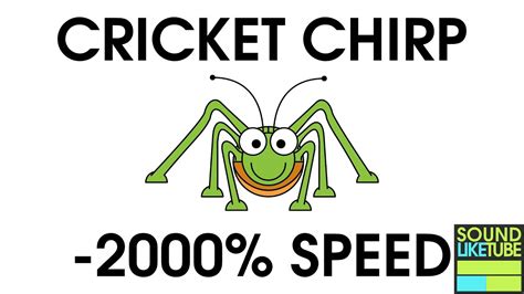 CHIRP CRICKET SLOW-MOTION SOUND 2000%! - YouTube