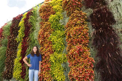 Coleus Vertical Garden | Fasci Garden