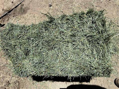 Orchard & Alfalfa Blend Hay | Ratzlaff Farms