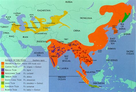 Transhu: Siberian Tiger Habitat Range Map