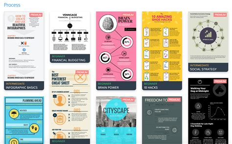 The Top 9 Infographic Template Types - Venngage