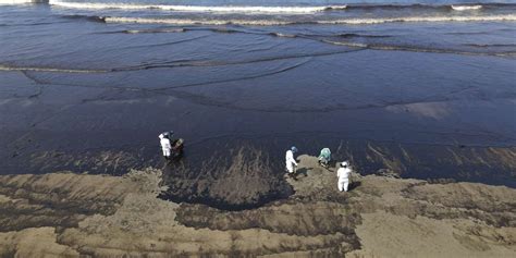 En Perú, derrames de petróleo amenazan plantas y animales