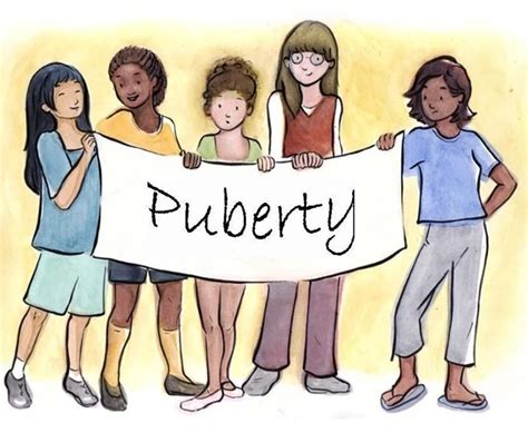 Puberty (Physical Changes) Diagram | Quizlet