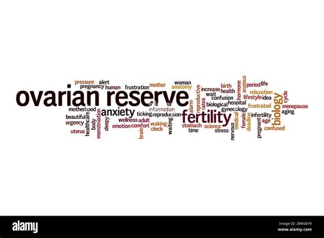 Ovarian reserve concept on white background Stock Photo - Alamy