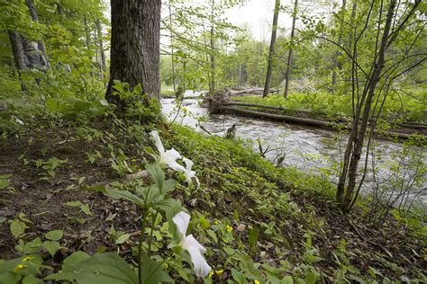 The Beaver River Trail - South Georgian Bay Tourism