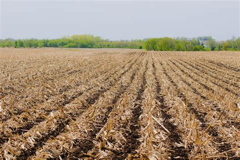 Strip-Tillage in the Fall or Spring