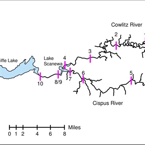 Map of Lake Scanewa, the Cowlitz River, and the Cispus River,... | Download Scientific Diagram