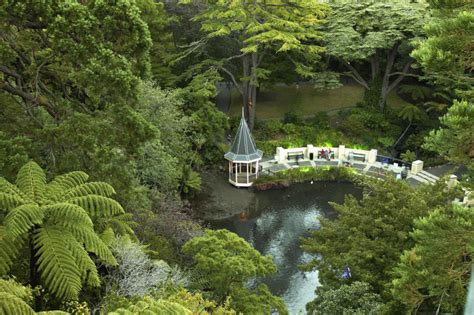 Wellington Botanic Garden - MyDriveHoliday