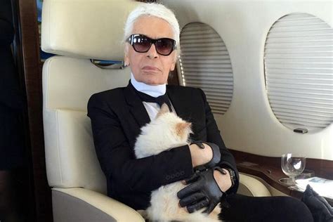 Karl Lagerfeld's cat Choupette now - millionaire, new family but still pining for 'daddy ...