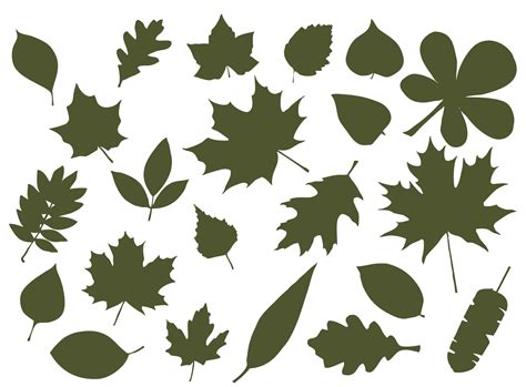 Set of leaf silhouettes. Leaves of deciduous forest trees 9392907 ...