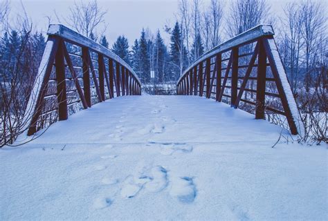 bridge snow traces winter - Photo #20337 - Free 3D Models | Free stock ...