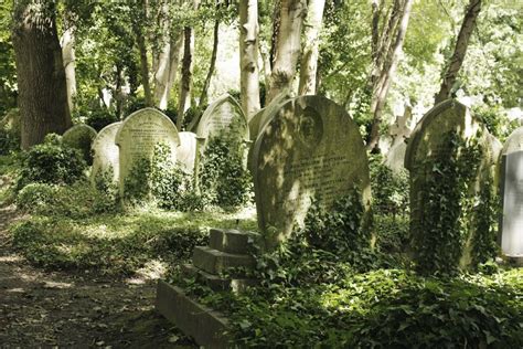 New post on requiem-on-water | Highgate cemetery, Old cemeteries, Cemetery