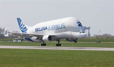 National Air Cargo Eyes Airbus Beluga Freighter