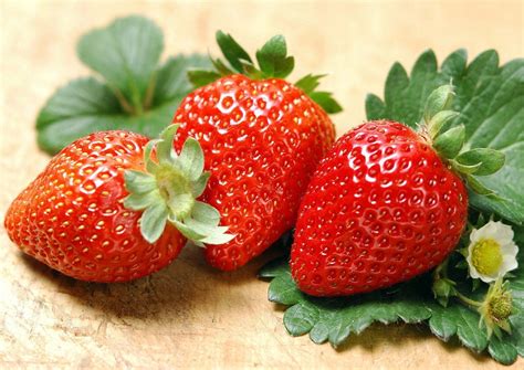 Albion Everbearing Strawberry 10 Bare Root Plants - NEW! Extra Large & Sweet - Walmart.com