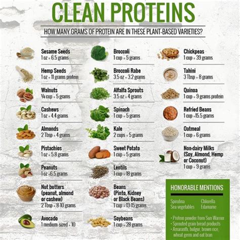 non-animal based proteins | Vegan nutrition, Health food, Nutrition