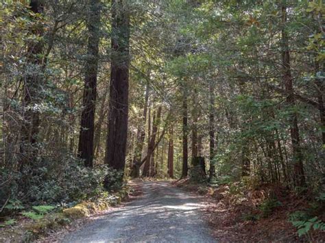 Salt Point State Park: Hiking & Camping Guide