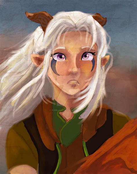 Rayla by Bumbledragon on DeviantArt