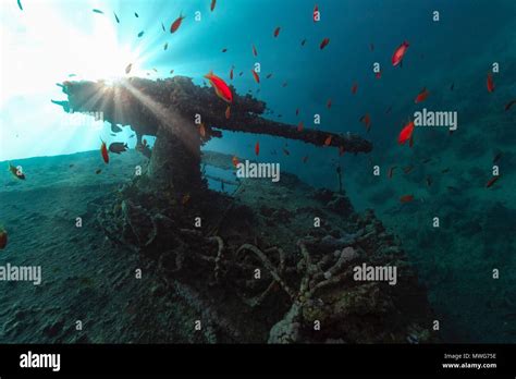 Ss thistlegorm hi-res stock photography and images - Alamy