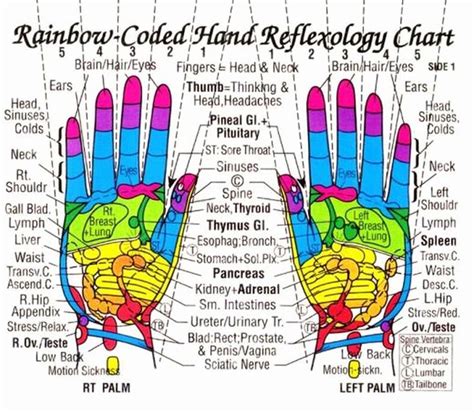 Skillful Sujok Points Chart Free Acupressure Points In Palm Chart Headache Acupressure Points ...