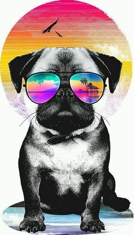 Rainbow Dog Wallpapers