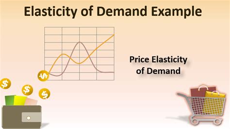 Elasticity of Demand Example | Examples on Elasticity of Demand