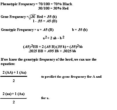 Population Gene Frequencies