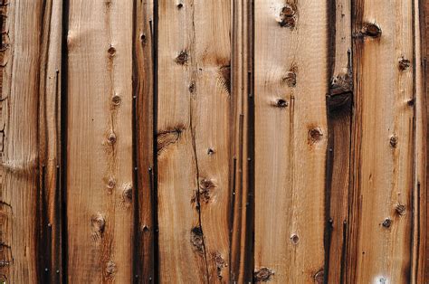 Knotty Pine Wood Background Photograph by Brandon Bourdages - Pixels